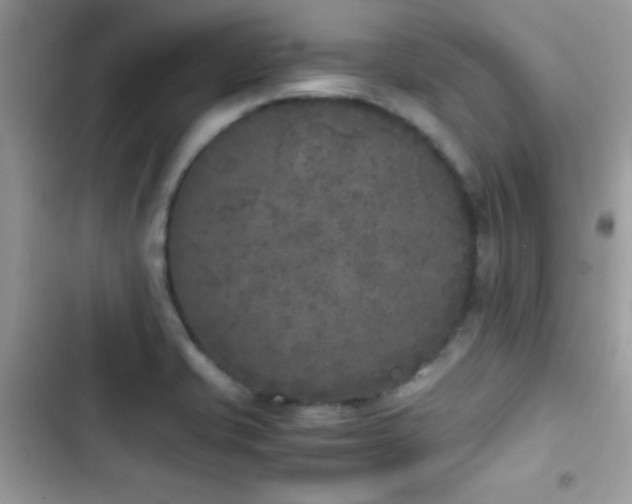 X0000103961421200809191500