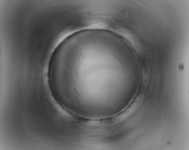 X0000103961422200809191501