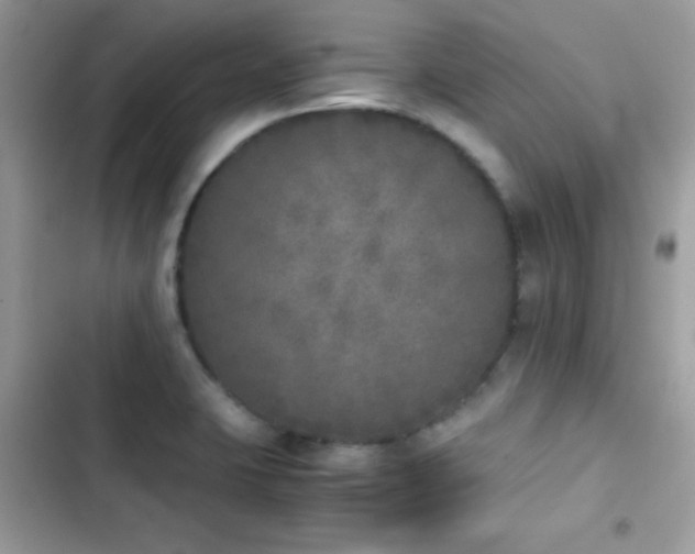 X0000103961423200809191501