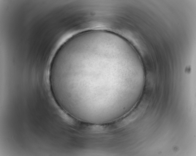 X0000103961424200809191501