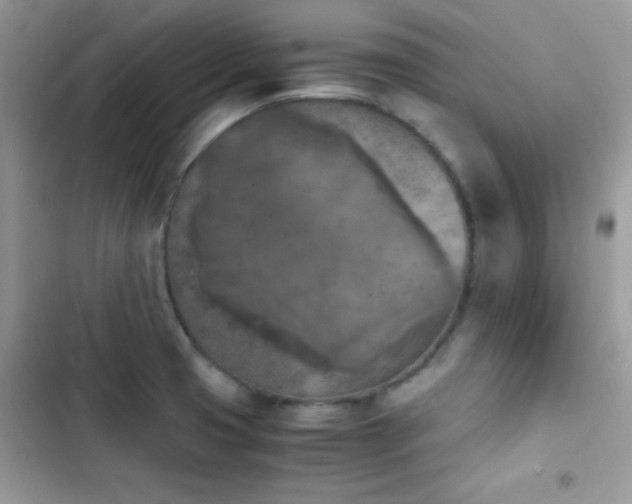 X0000103961425200809191501