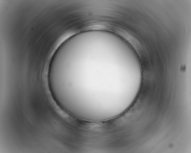 X0000103961426200809191501