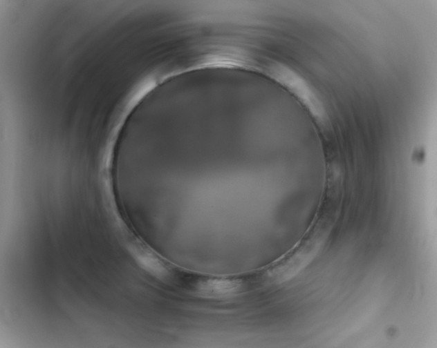 X0000103961427200809191501