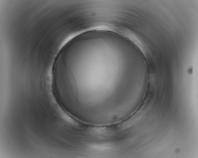 X0000103961428200809191501