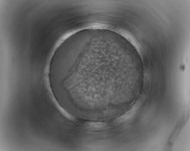 X0000103961429200809191501