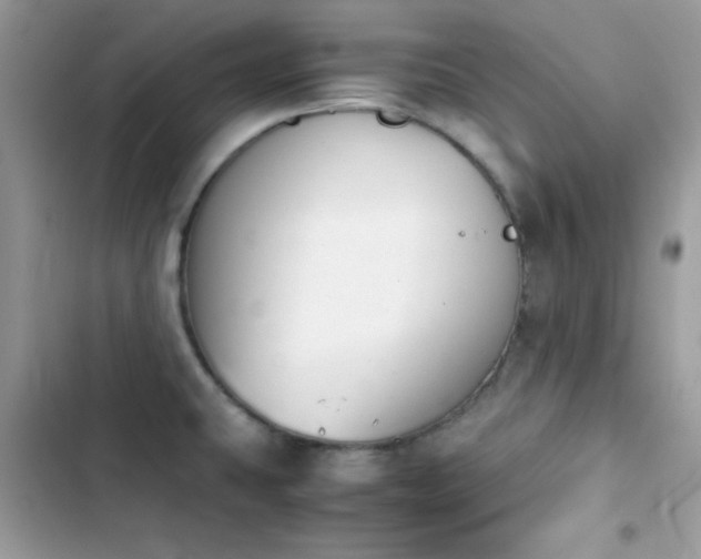 X0000103961431200809191501