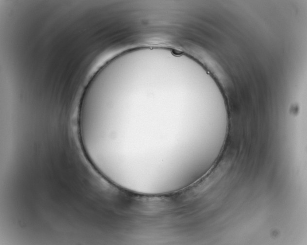 X0000103961432200809191501