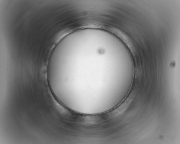 X0000103961433200809191501