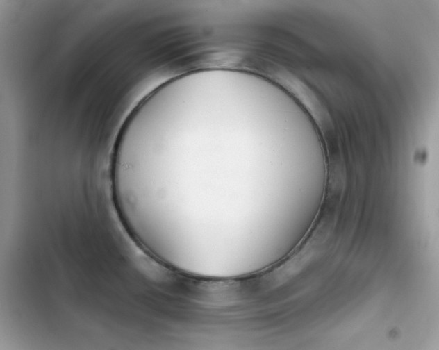 X0000103961434200809191501