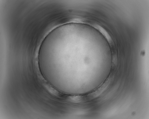 X0000103961435200809191501