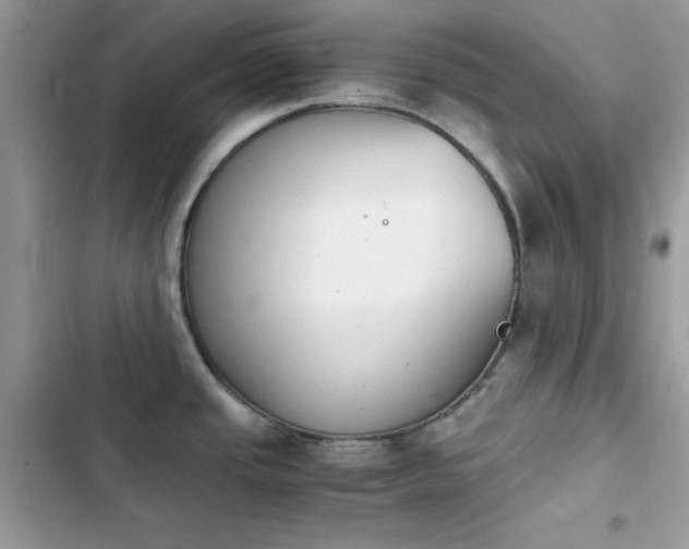 X0000103961437200809191501