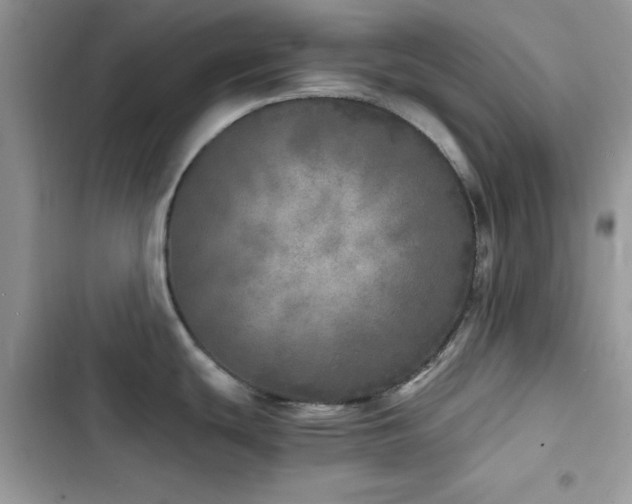 X0000103961439200809191501
