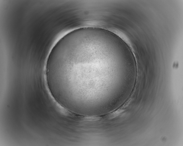 X0000103961440200809191501