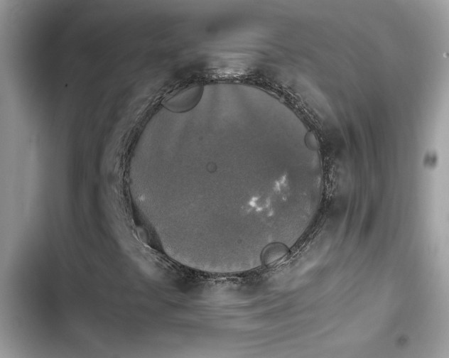 X0000103961441200809191500