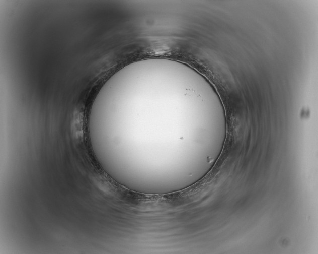 X0000103961442200809191500