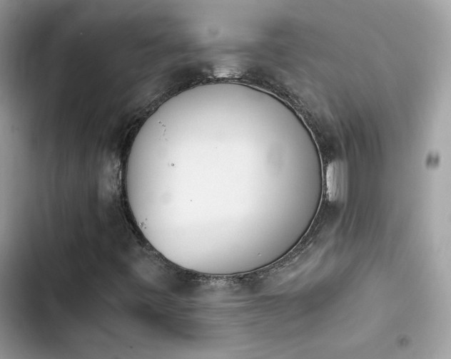 X0000103961443200809191500
