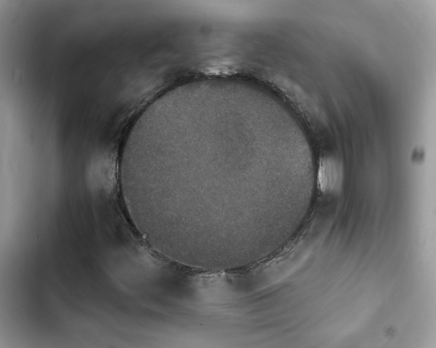 X0000103961444200809191500