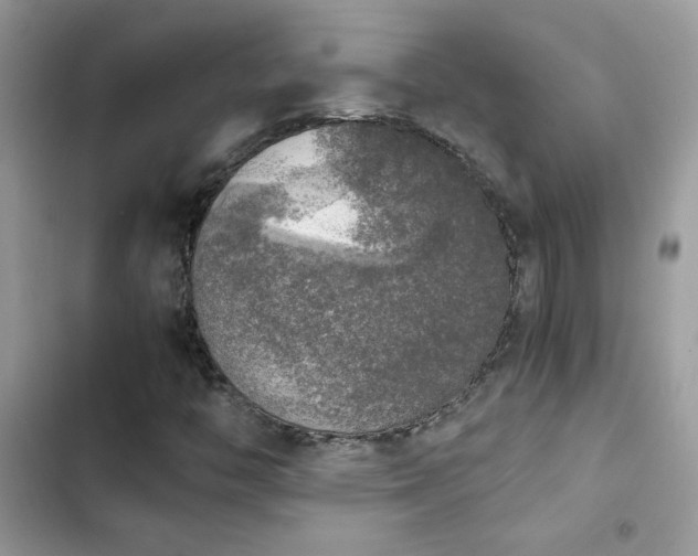 X0000103961446200809191500