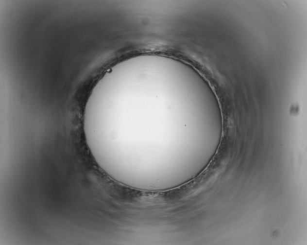 X0000103961447200809191500