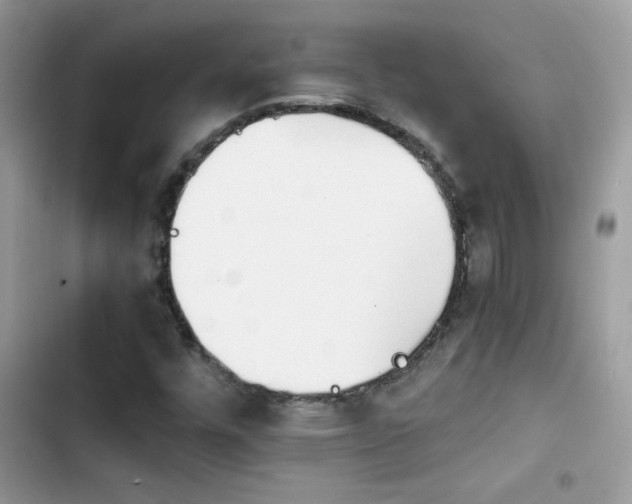 X0000103961448200809191500