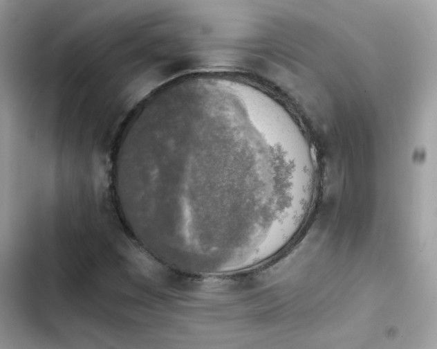 X0000103961449200809191500