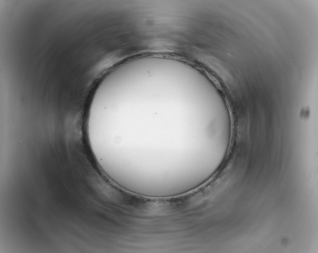 X0000103961451200809191500
