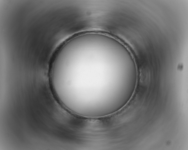 X0000103961452200809191500