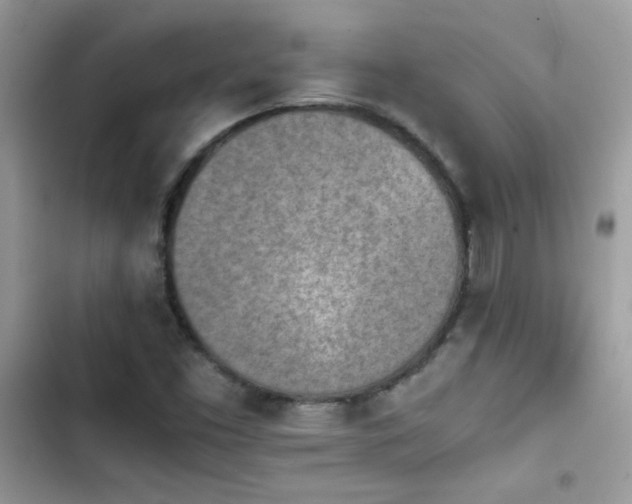 X0000103961453200809191500
