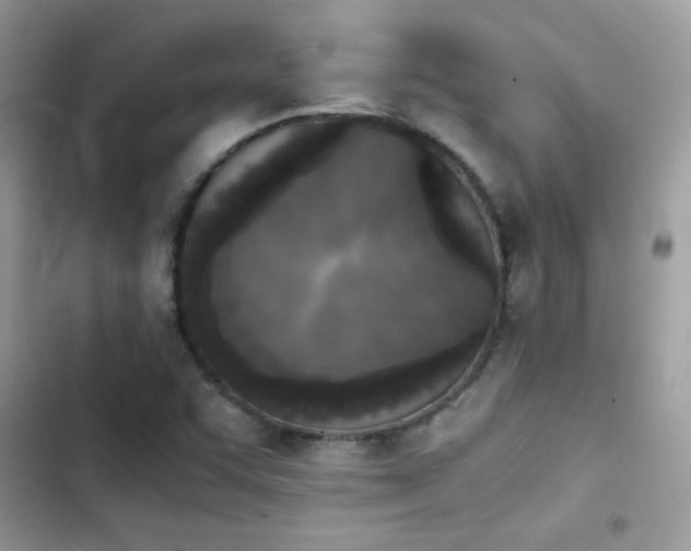 X0000103961455200809191500