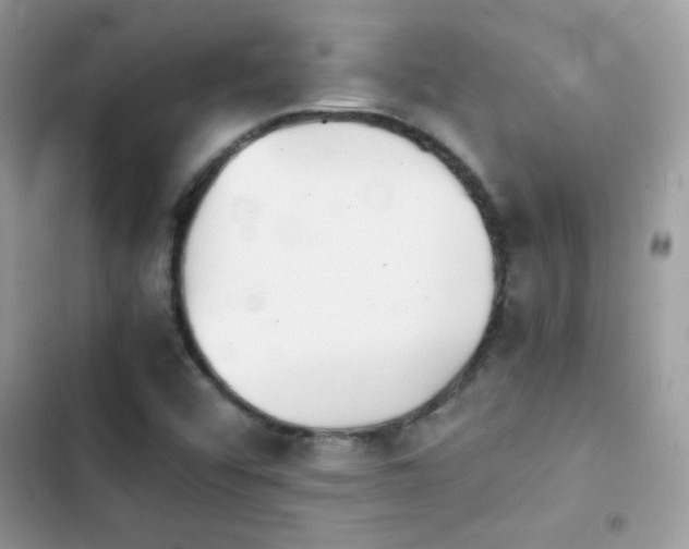 X0000103961456200809191500