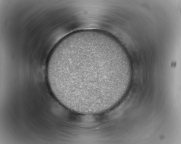 X0000103961457200809191500