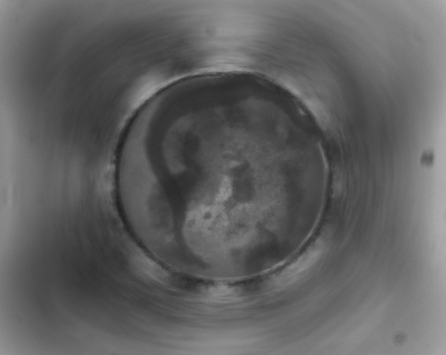 X0000103961459200809191500