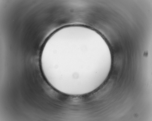 X0000103961460200809191500