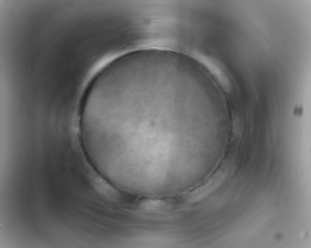 X0000103961462200809191500
