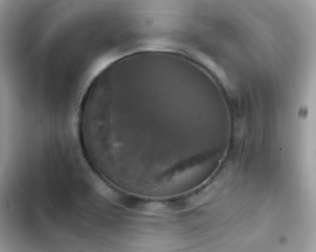 X0000103961463200809191500