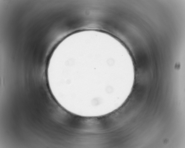 X0000103961464200809191500
