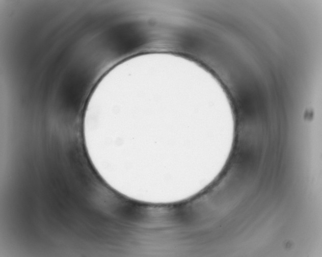 X0000103961465200809191500