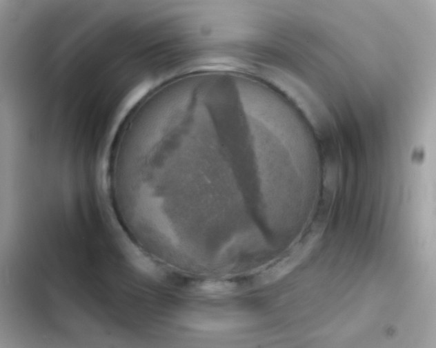 X0000103961466200809191500