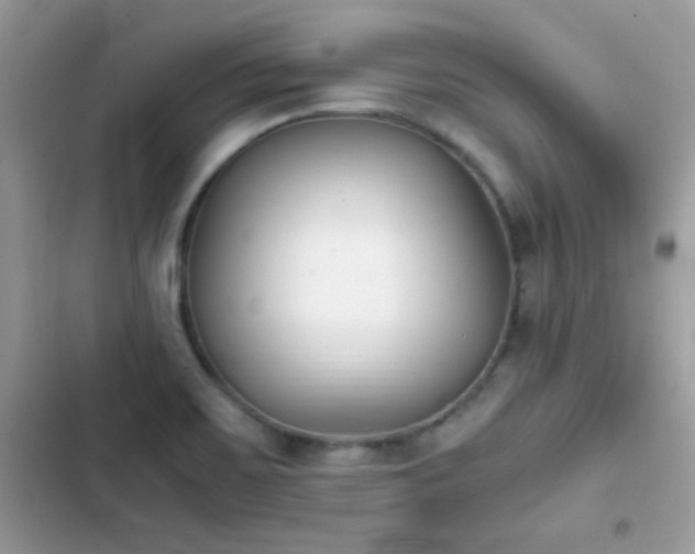 X0000103961467200809191500