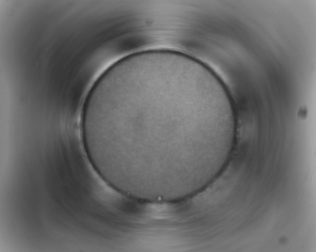 X0000103961468200809191500