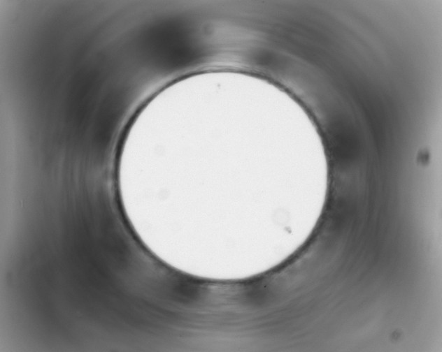 X0000103961469200809191500