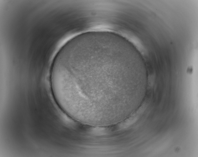 X0000103961470200809191500