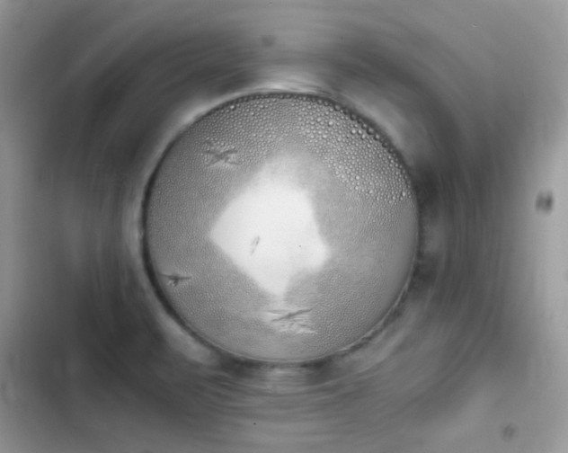 X0000103961471200809191500