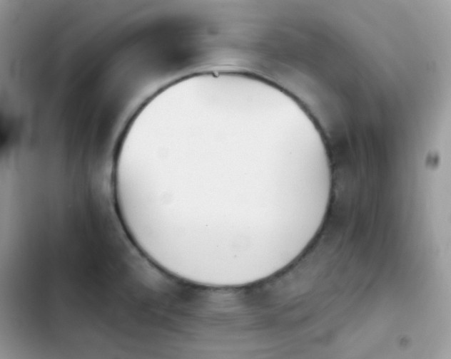 X0000103961472200809191500