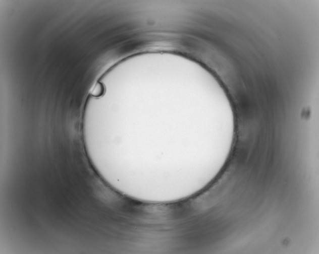 X0000103961473200809191500