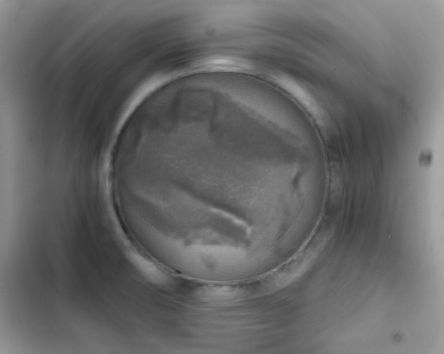X0000103961474200809191500
