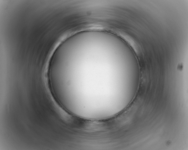 X0000103961475200809191500