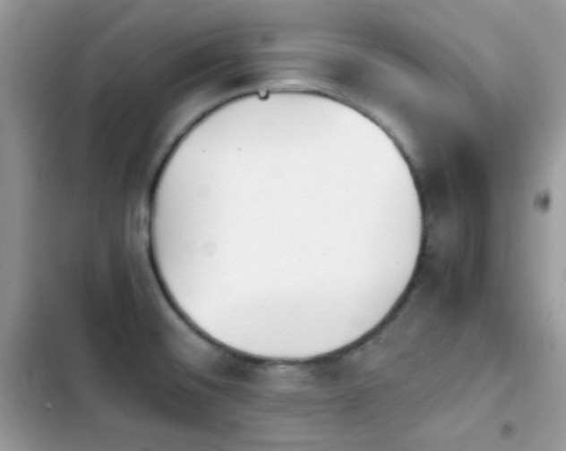 X0000103961476200809191500