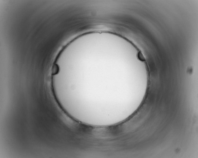 X0000103961477200809191500