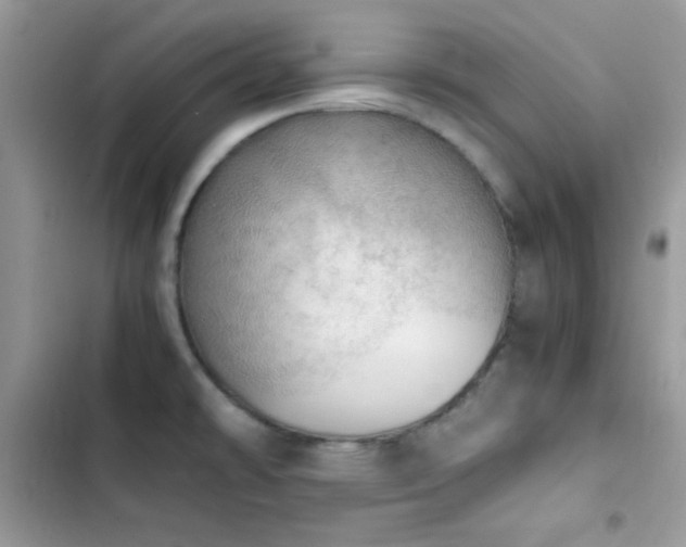 X0000103961478200809191500
